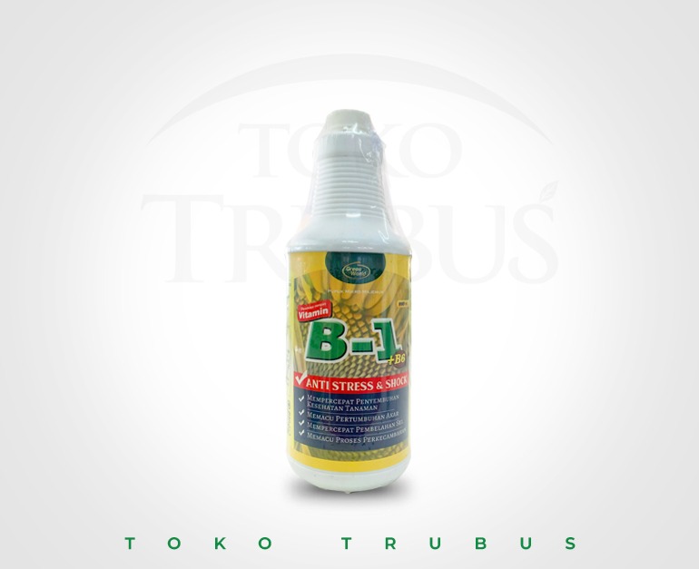 ZPT B1 Vit 500 ml