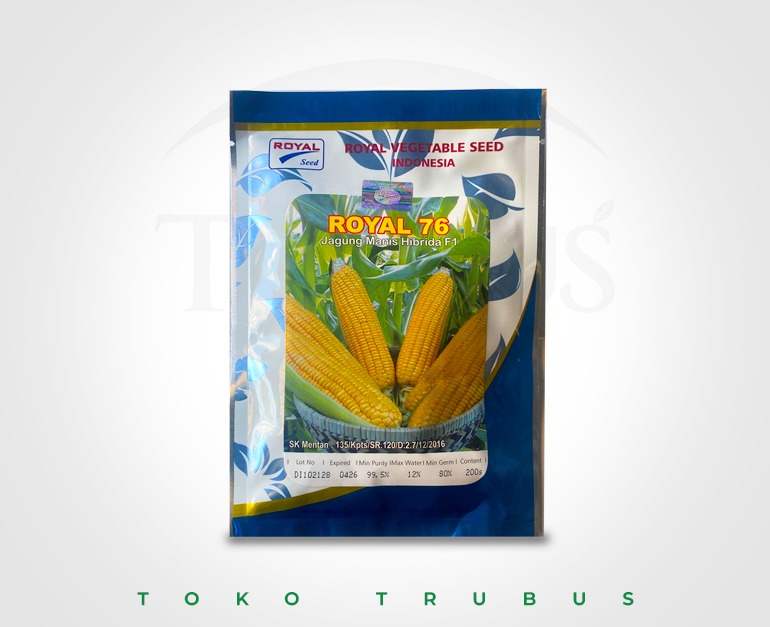 BENIH JAGUNG MANIS ROYAL 76 200 SEED