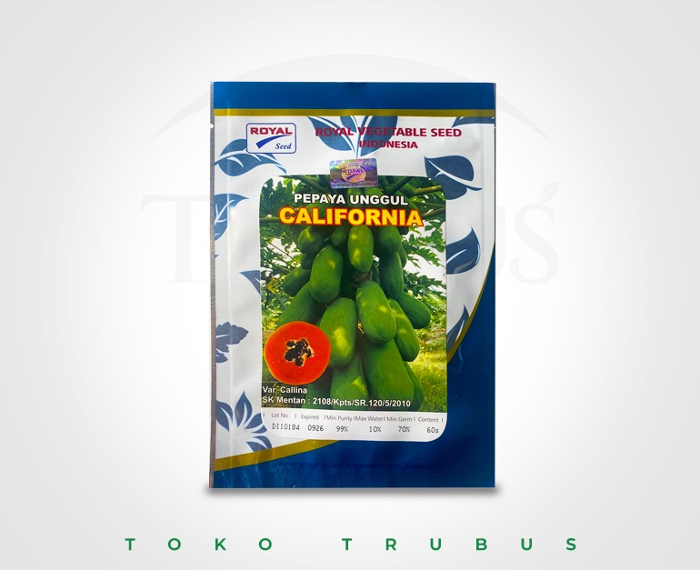 BENIH PEPAYA CALIFORNIA 60 SEED