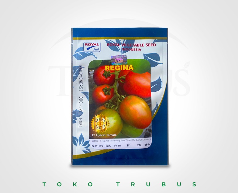 BENIH TOMAT REGINA 150 SEED