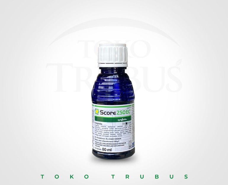 SCORE 80 ML