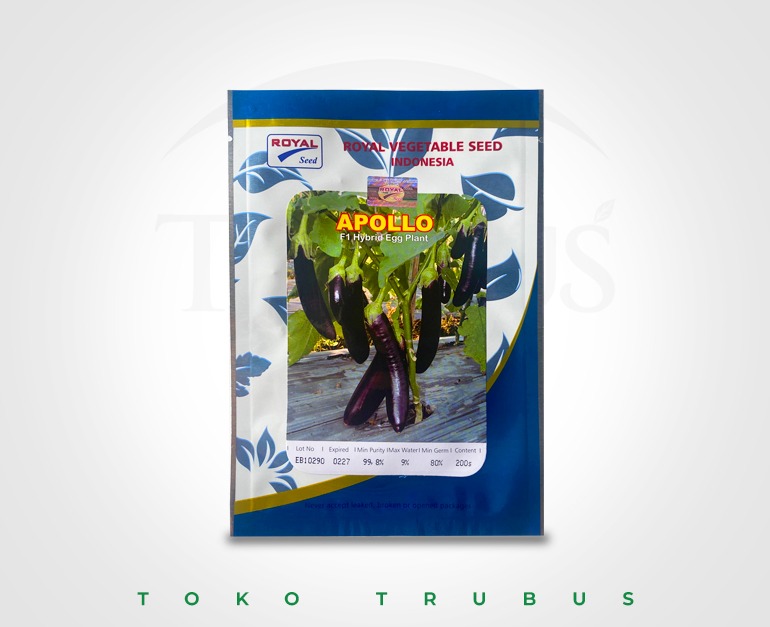 TERONG APOLLO 200 SEED