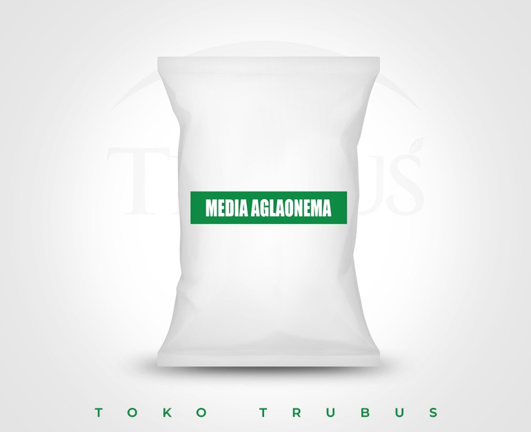 TRUBUS - MEDIA AGLONEMA BAG