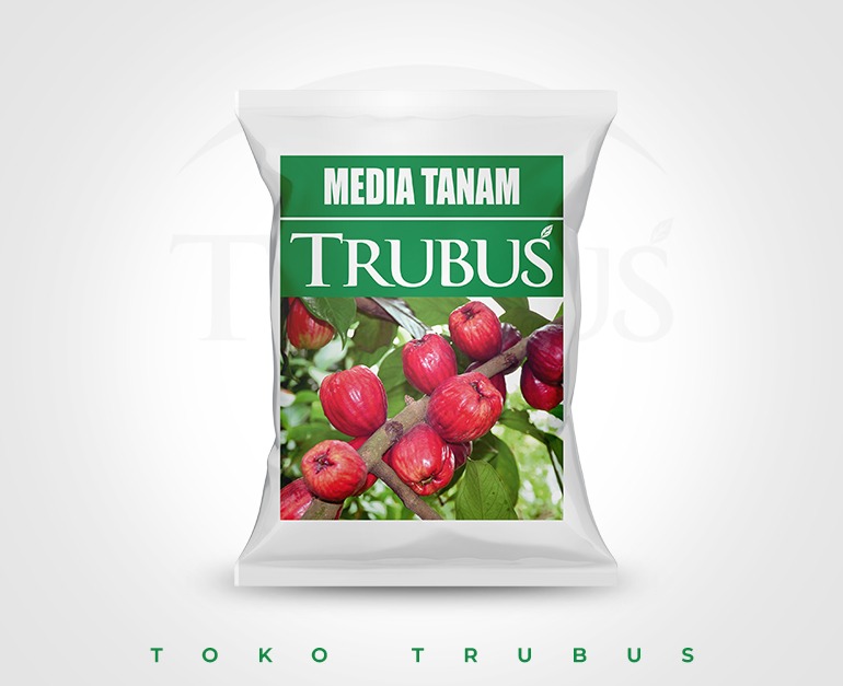 TRUBUS - MEDIA TANAM TRUBUS